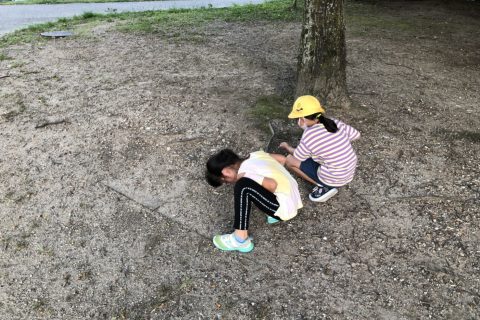 公園遊び